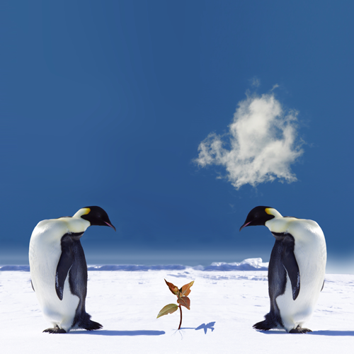 Bonheur et psychothérapie