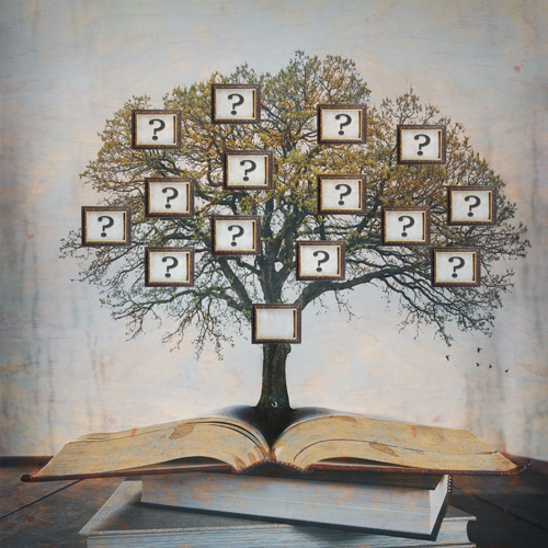 Que reste-t-il de nos ancêtres ?