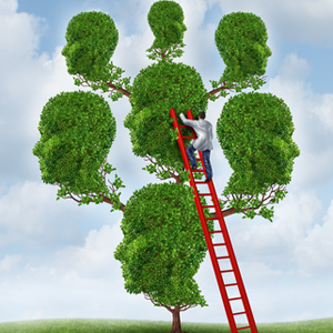 La constellation familiale et systémique