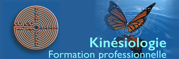 Nouvelle formation professionnelle de kinésiologie. (...)