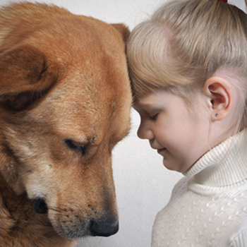 La Zoothérapie ou Thérapie Assistée par l'Animal