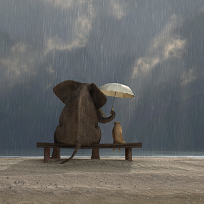 La bientraitance, relation toute en délicatesse (...)