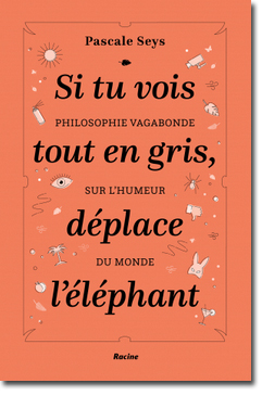 Si tu vois tout en gris, déplace l'éléphant