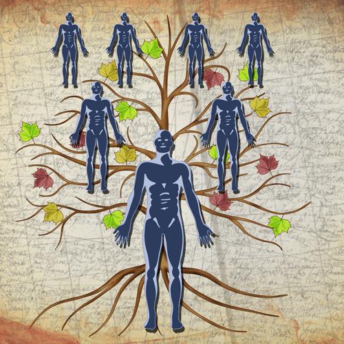 Constellations Systémiques - Explorer ses groupes (...)