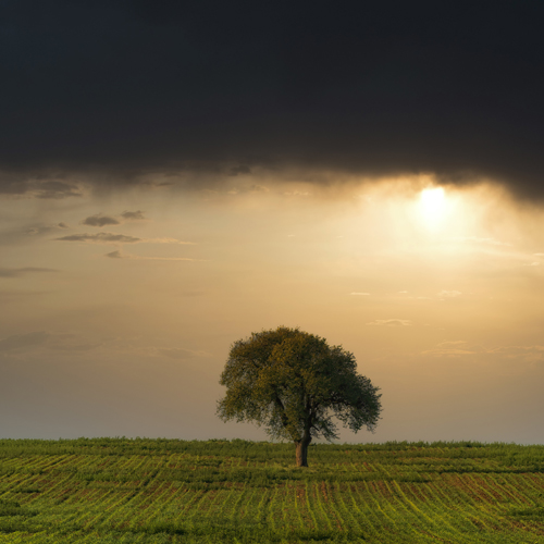 Le coronavirus, parlons-en !