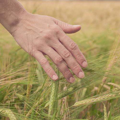 Faut-il vraiment frôler la mort pour prendre conscience (...)