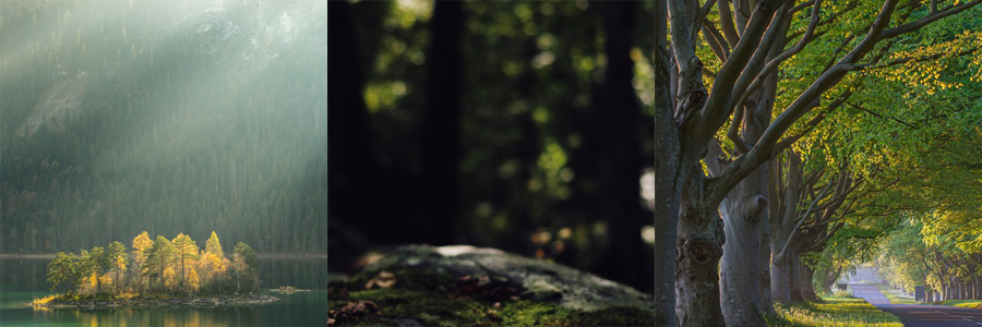 Formation à l'accompagnement pluridisciplinaire du (...)