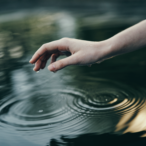 Viktor Frankl, le sens de la vie