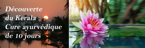 Découverte du Kerala - Cure ayurvédique de 10 jours