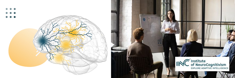 Formations Neurosciences Appliqu Es Sous L Angle De L Approche