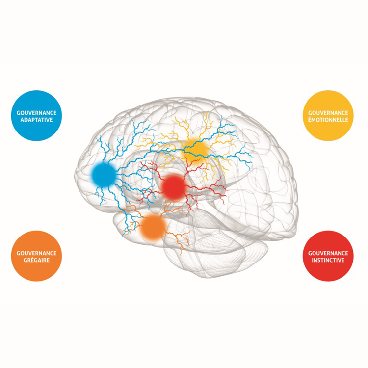 L'Approche Neurocognitive et Comportementale (ANC) pour (...)